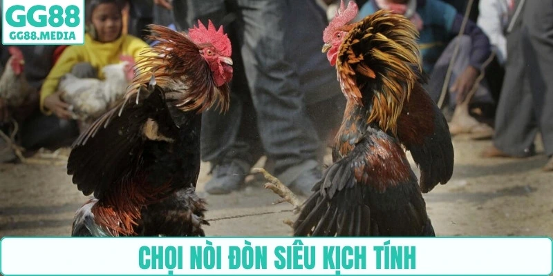 Chọi nòi đòn siêu kịch tính