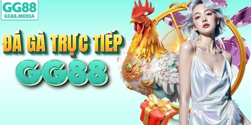 GG88 - Truy Cập Trang Chủ GG88COM Mới Nhận Code 88K 5 GG88 trực tiếp đá gà mỗi ngày
